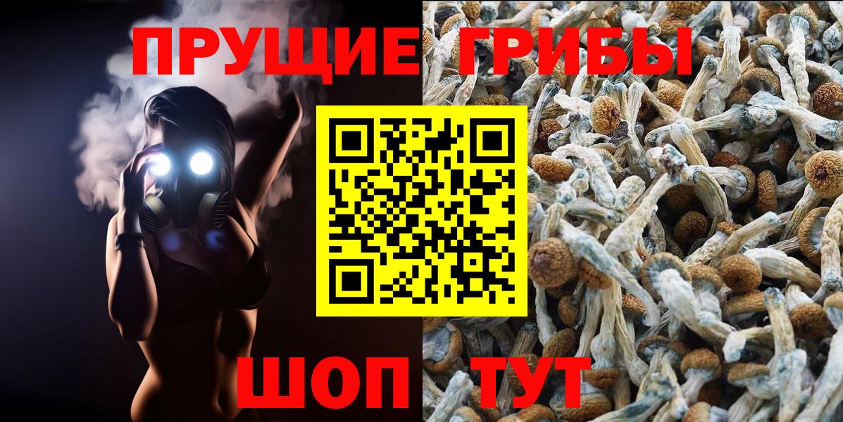 Гагарин  Псилоцибиновые грибы Psilocybe  Вход с VPN 